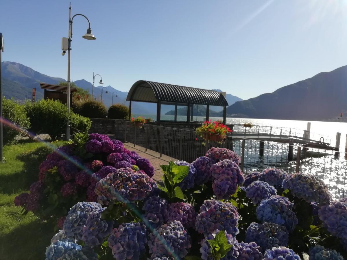 Viewtiful Homestay Stazzona Exterior foto
